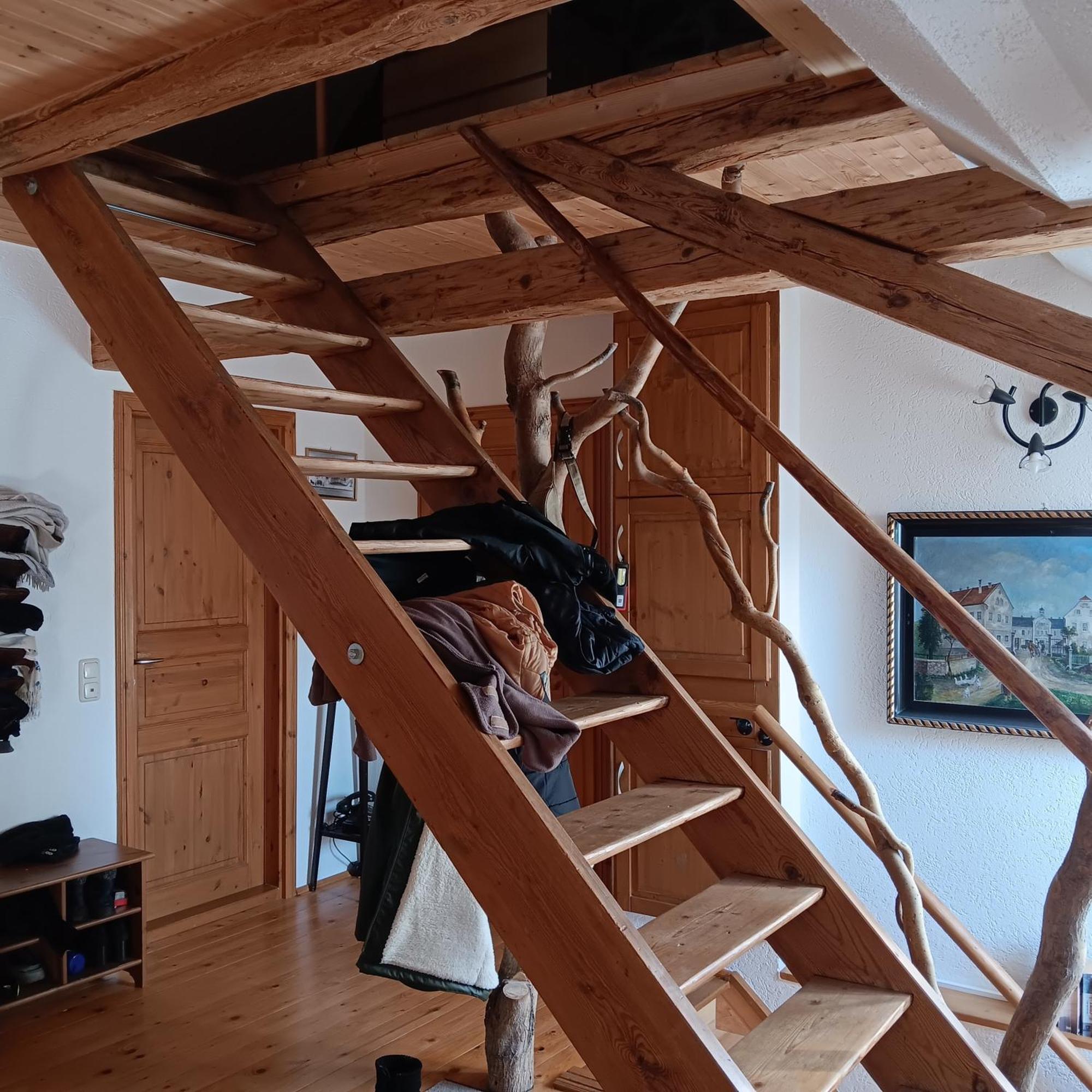 Schwalbennest Kaisitz Apartment Luaran gambar