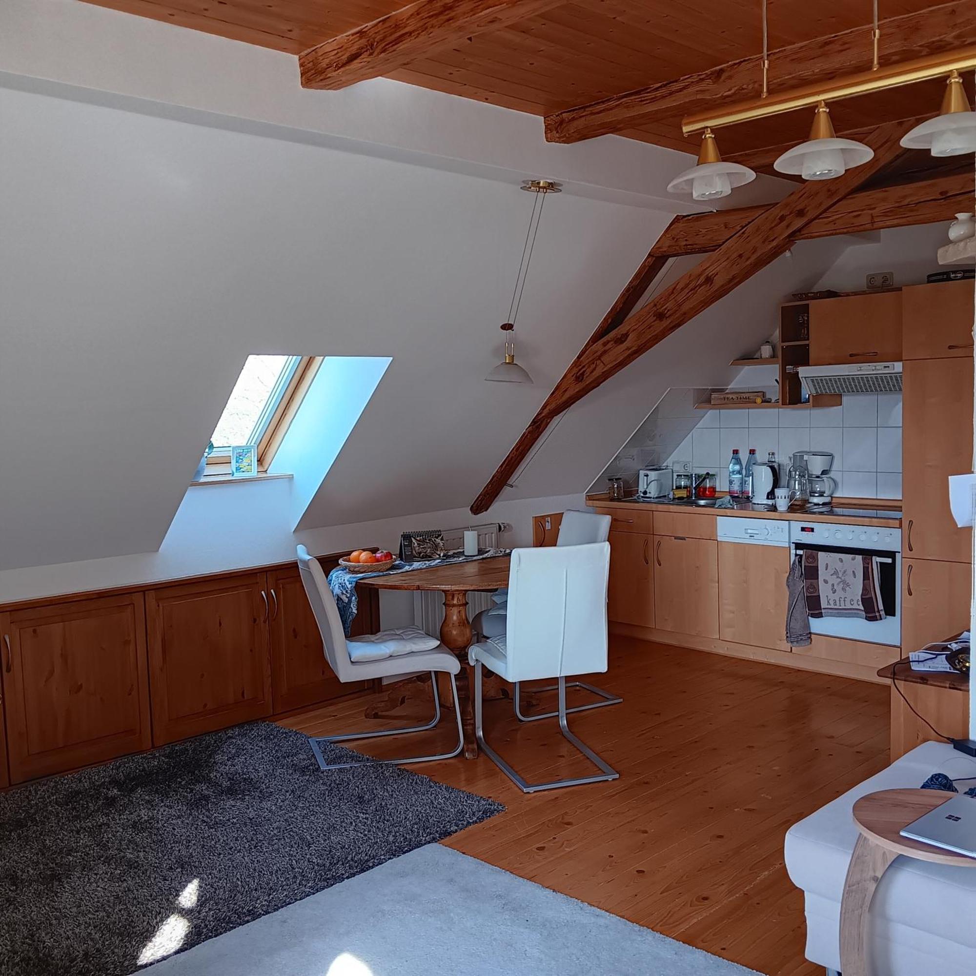 Schwalbennest Kaisitz Apartment Luaran gambar