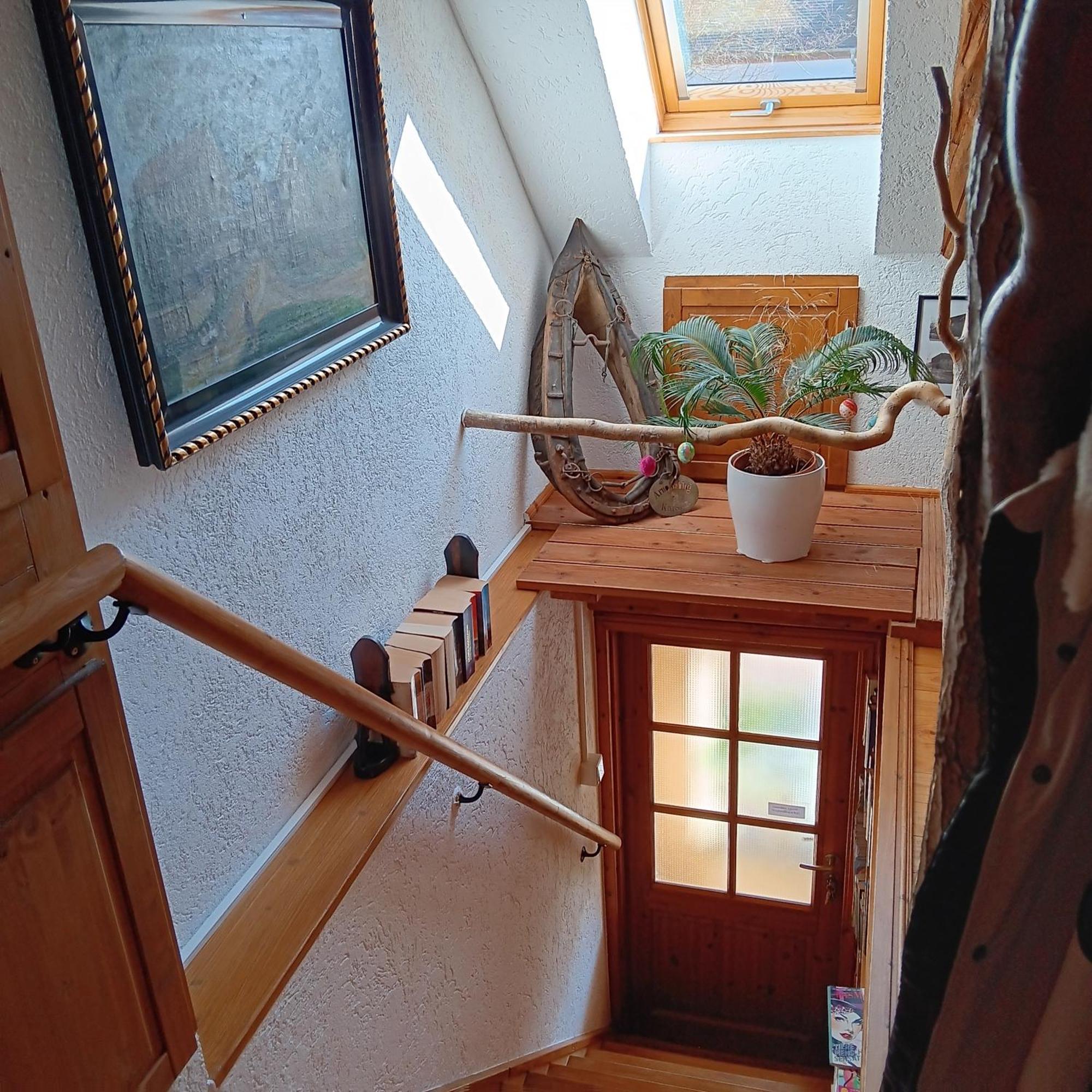 Schwalbennest Kaisitz Apartment Luaran gambar